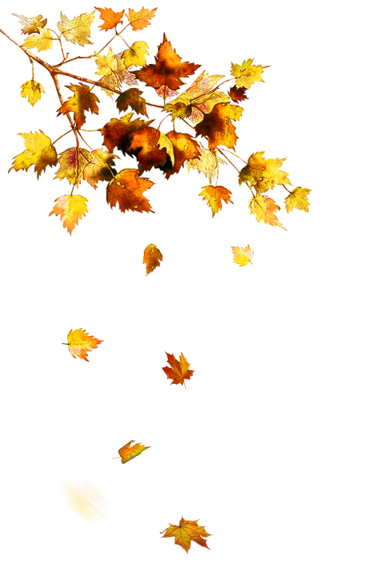 automne feuilles