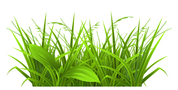 Herbe artificielle Honey Grass UV résistant - intérieur extérieur - H.80cm