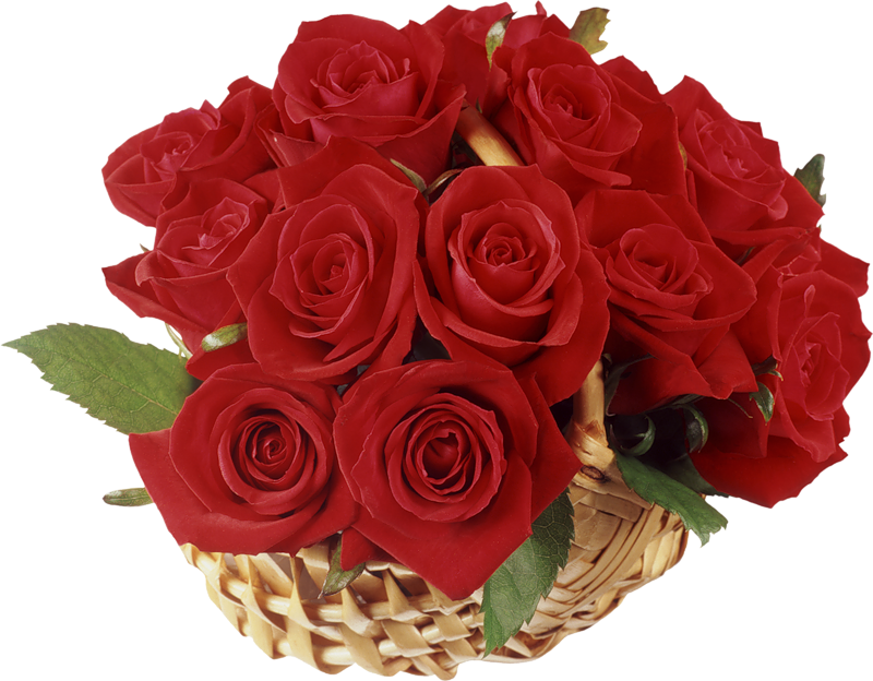 Saint Valentin Roses Rouges