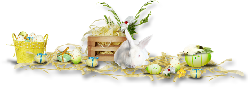 Lapin