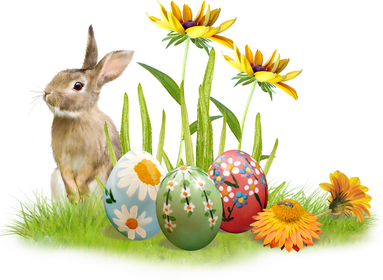 Lapin