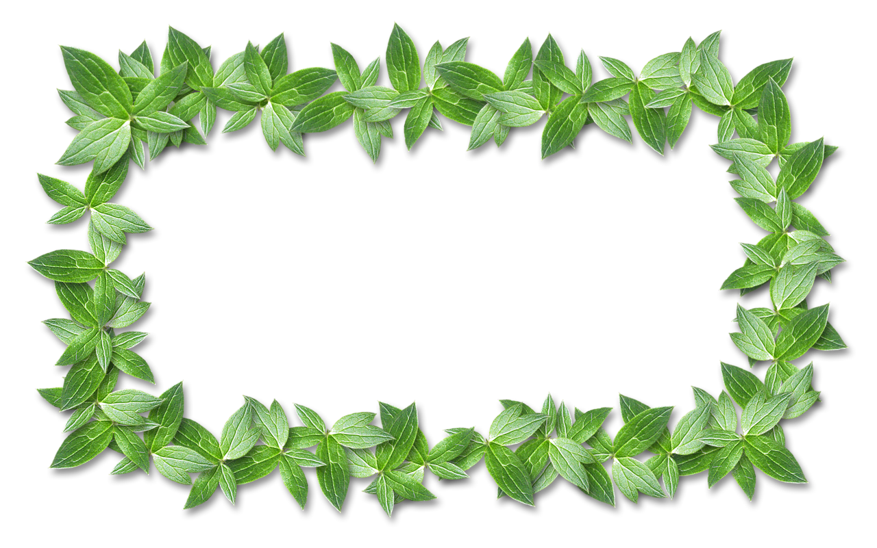 cadres verts